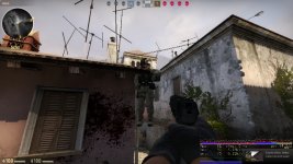bug.jpg bug.jpg