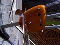 IMG_20120308_131303.jpg