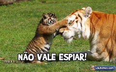 nao-vale-espiar[1].jpg