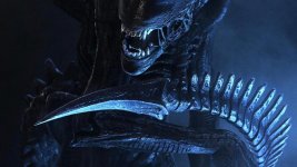 Alien-Vs-Predator-Wallpaper.jpg