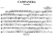 requinto.jpg