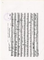 Documento escaneado-7.jpg