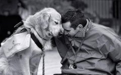 dog-and-human-1-925x578.jpg dog-and-human-1-925x578.jpg