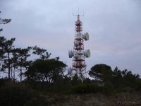 P1040.jpg