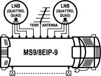 MS9_8EIP-8.png