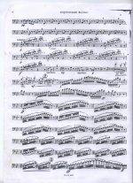 Pag2.jpg