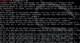 tcpdump_2_thumb.jpg