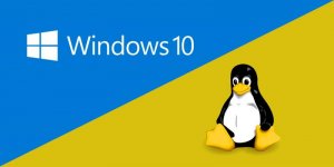 win-linux-dual-boot.jpg win-linux-dual-boot.jpg