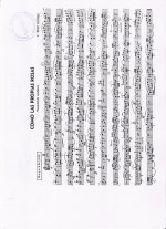 Documento escaneado-8.jpg