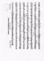 Documento escaneado-21.jpg
