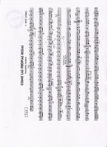 Documento escaneado-31.jpg