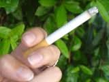 cigarro.jpg cigarro.jpg