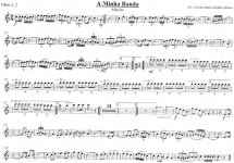 Oboe 1 e 2.jpg