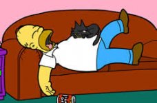 homer.jpg