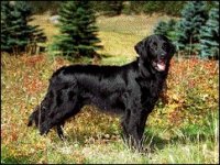 02_retrieveliso.jpg 02_retrieveliso.jpg