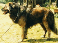 001_serraestrela.gif 001_serraestrela.gif