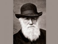 cientistas_famosos_3.jpg cientistas_famosos_3.jpg