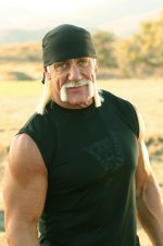 hulk_hogan.jpg