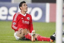 cardozo12.jpg cardozo12.jpg
