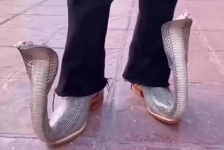 1676656662933.png