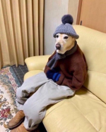 1679072958490.png