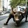 BULL
