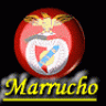 marrucho