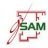 GSAM